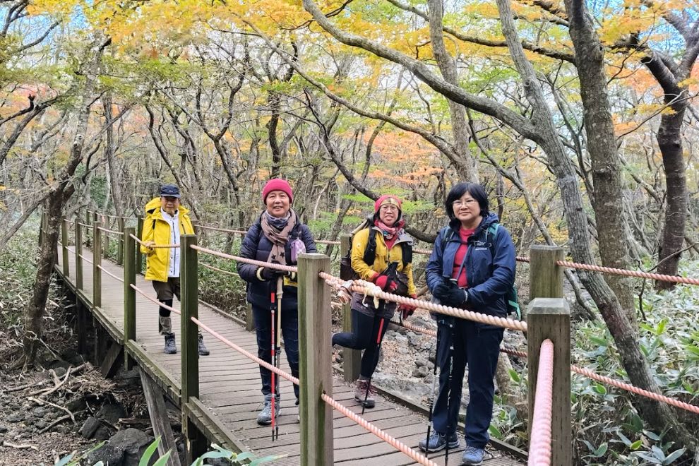 漢拏山步道景觀