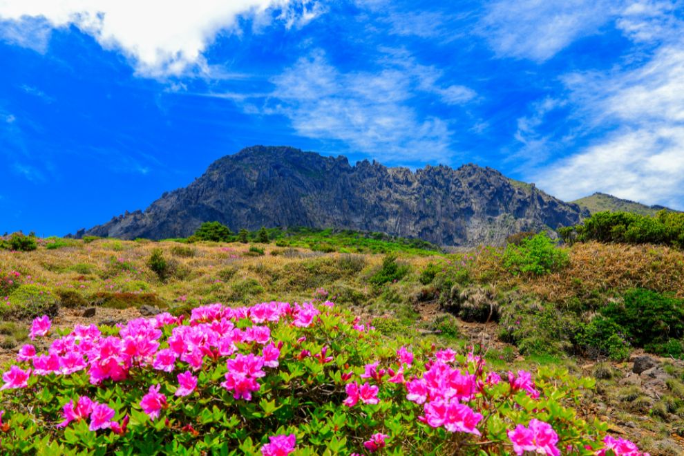 漢拏山沿途美景1