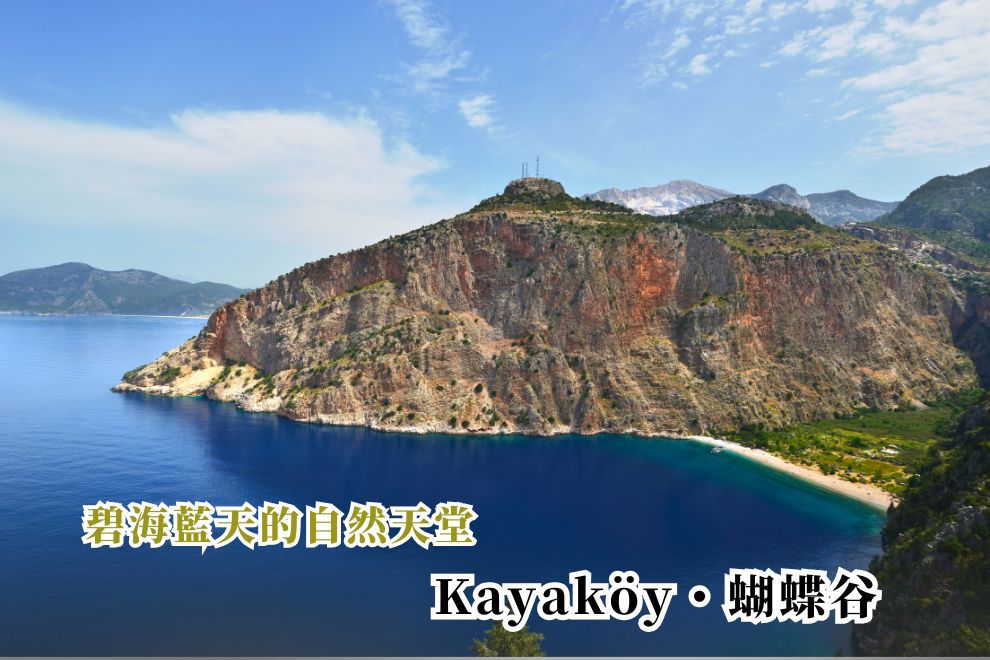 藍蝶谷晨光