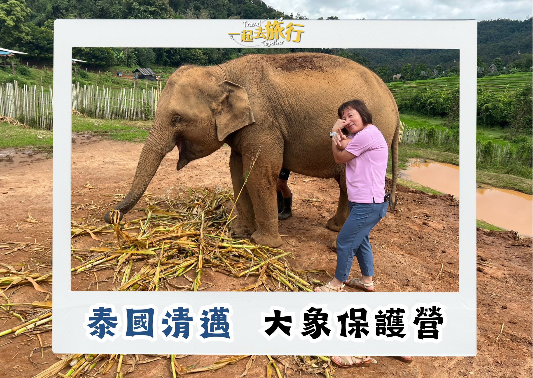 泰國清邁大象保護營