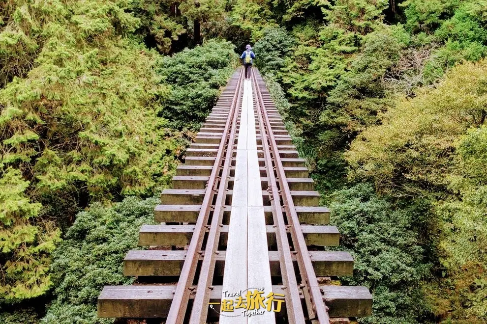 嘉義 阿里山 眠月線