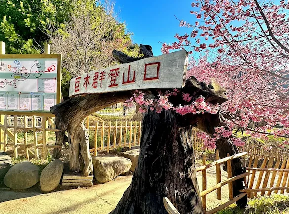 新竹｜夏季星空露營派對 司馬庫斯 2天