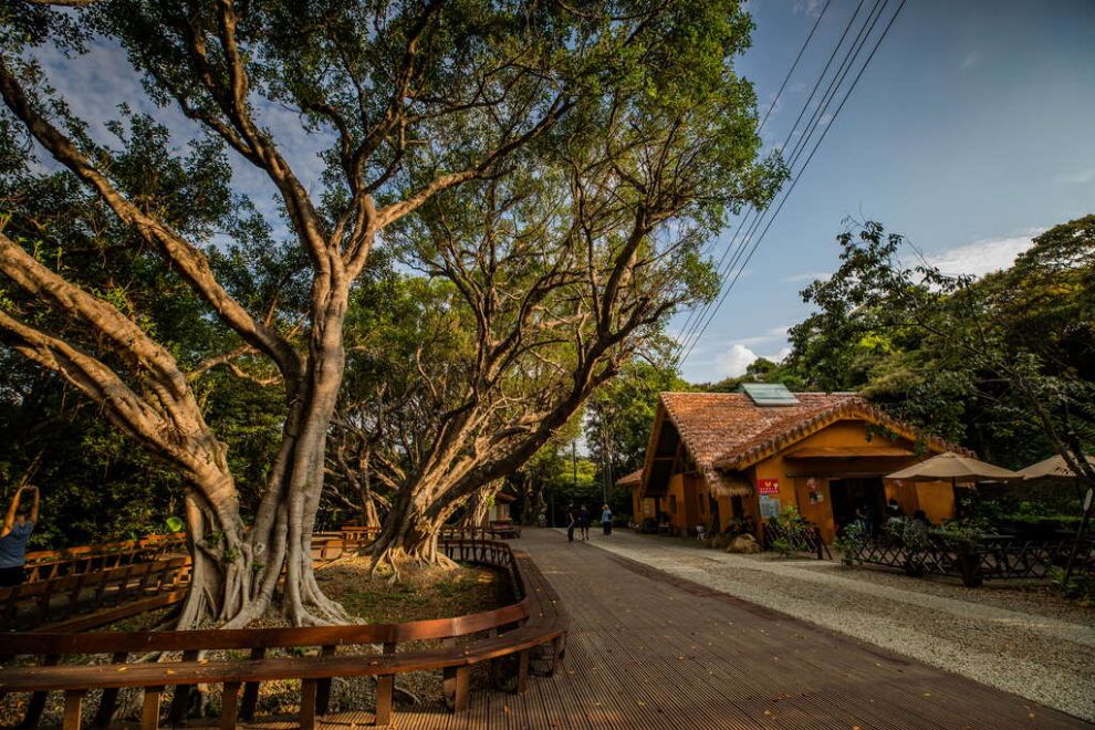 C、山海雙響炮：
五酒桶山秘境步道 × 許厝港濕地巡禮