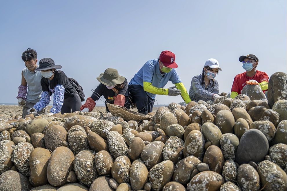 D、海客歲月：
范姜老屋巡禮 × 百年石滬捕魚傳奇