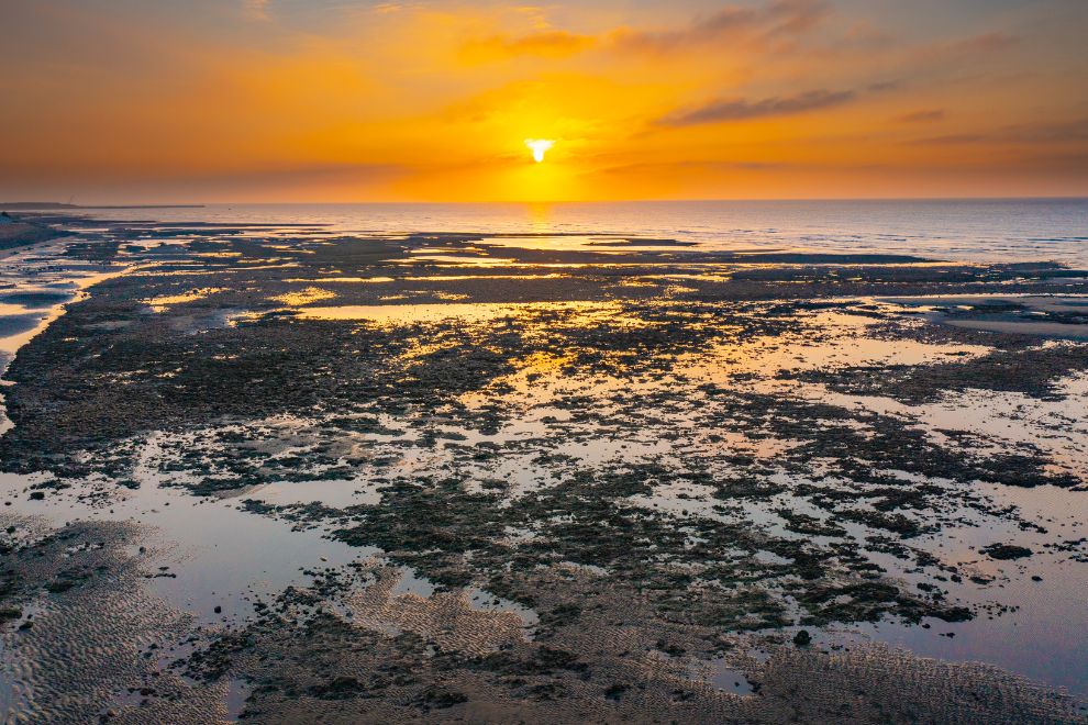 E、風之律動：
綠色走廊單車輕旅行 × 觀新藻礁生態祕境