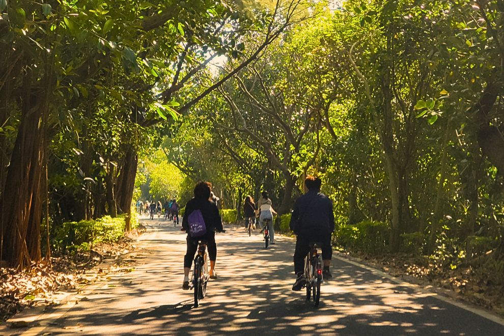 F、極限縱貫線：
40公里腳踏車壯遊 × 山海全景巡禮